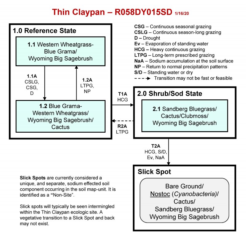 Model diagram