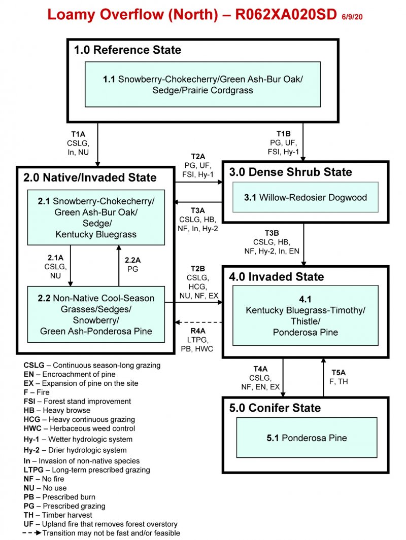Model diagram