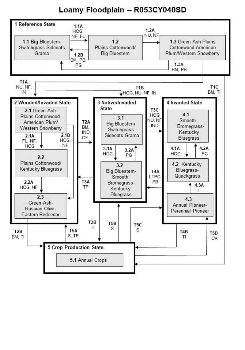 Model diagram