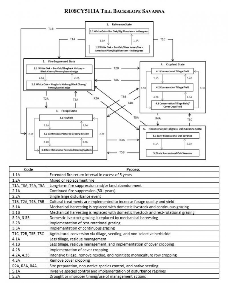 Model diagram