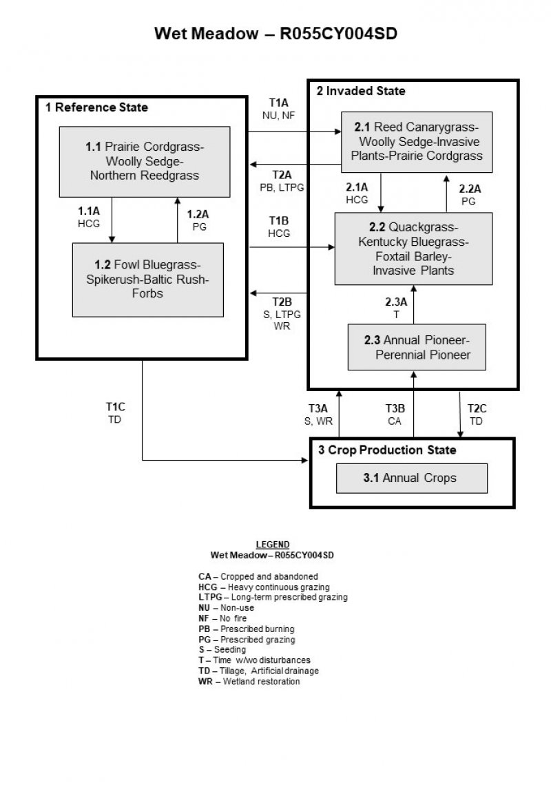 Model diagram