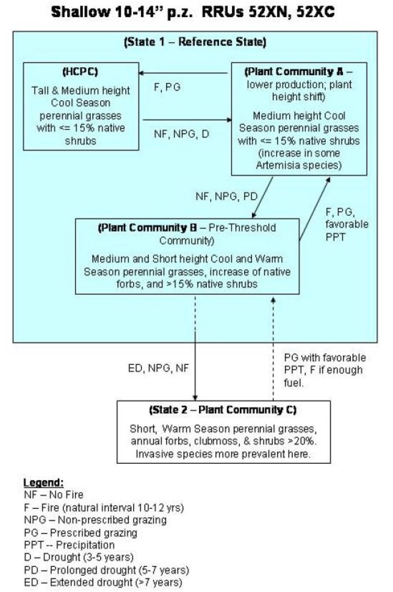 Model diagram