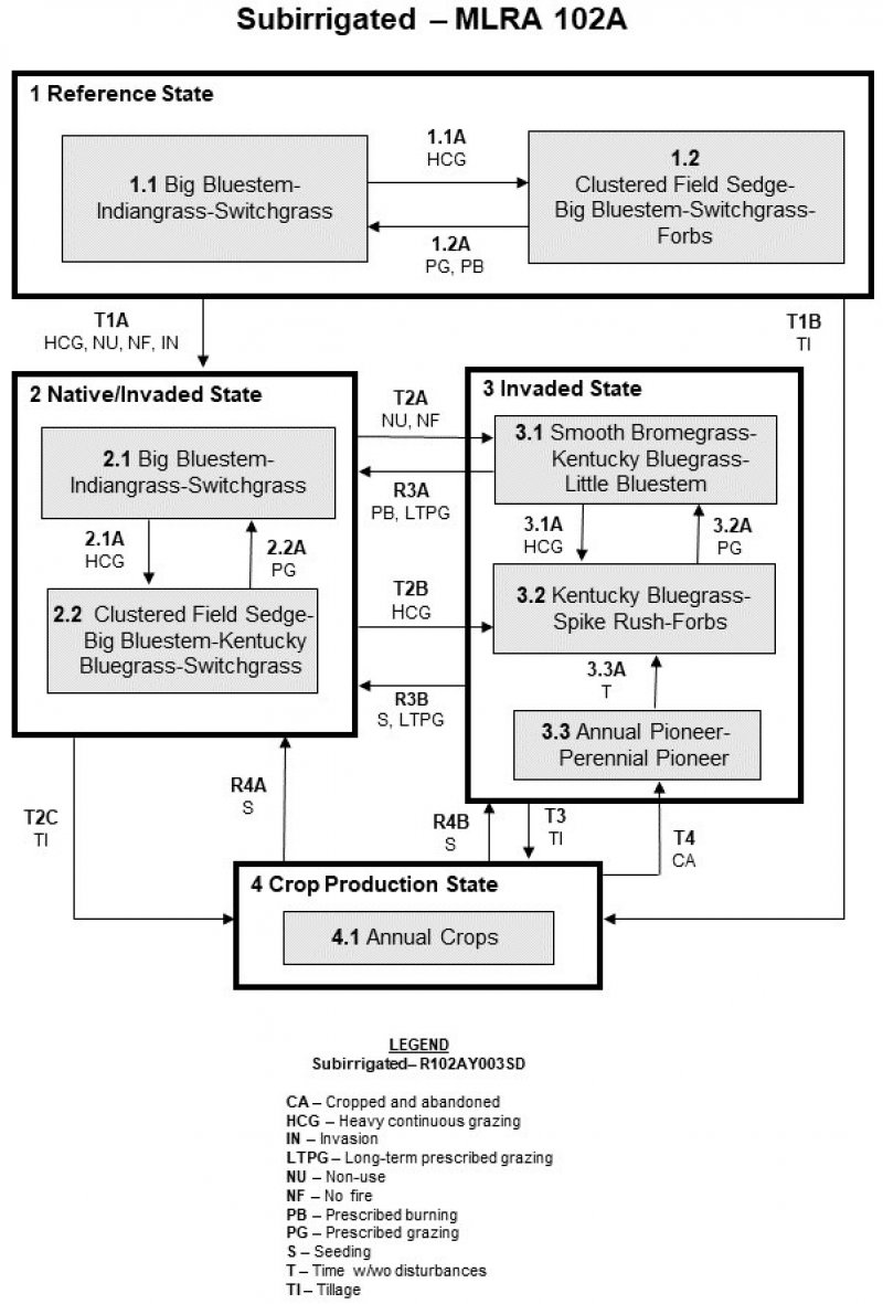 Model diagram