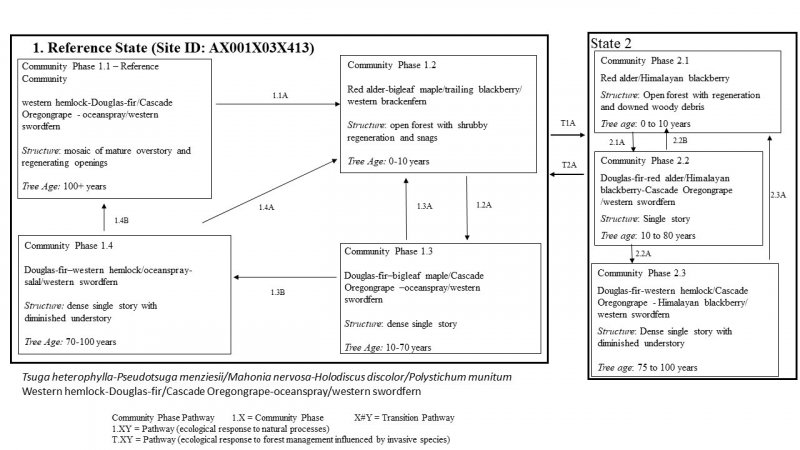 Model diagram