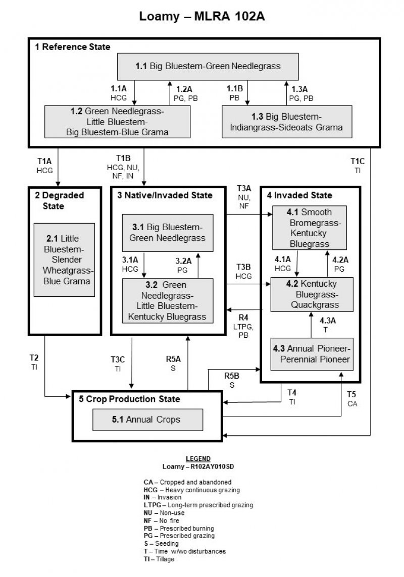 Model diagram