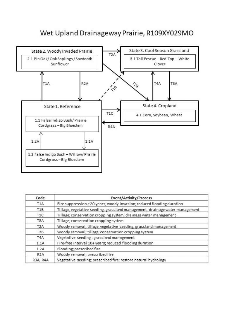 Model diagram