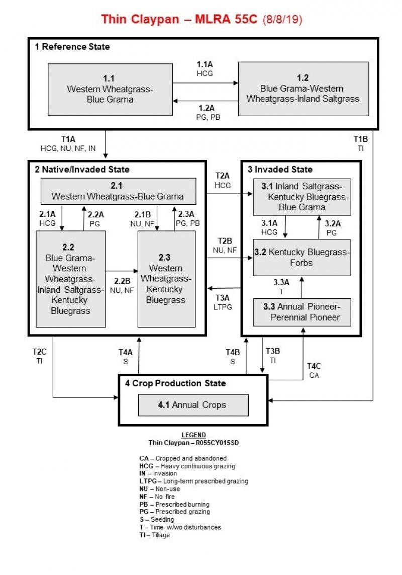 Model diagram