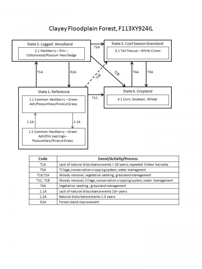 Model diagram