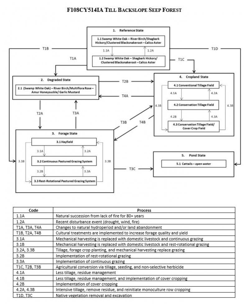 Model diagram