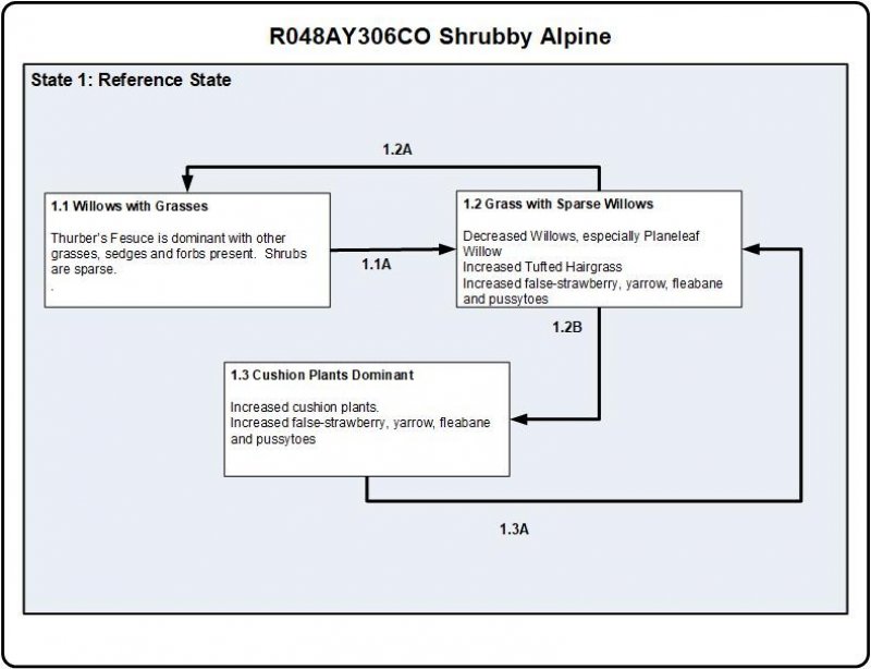Model diagram