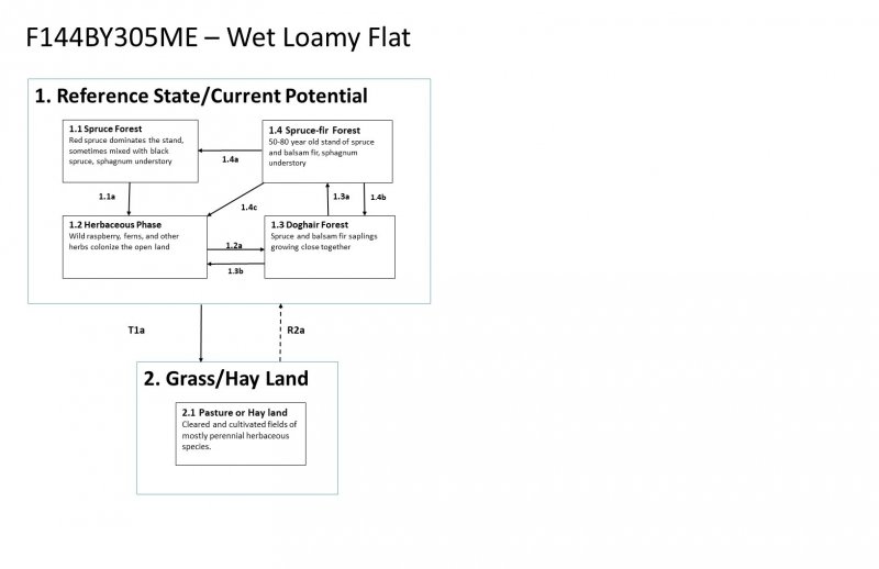 Model diagram