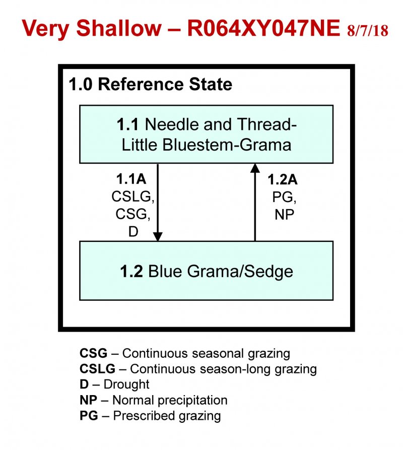Model diagram