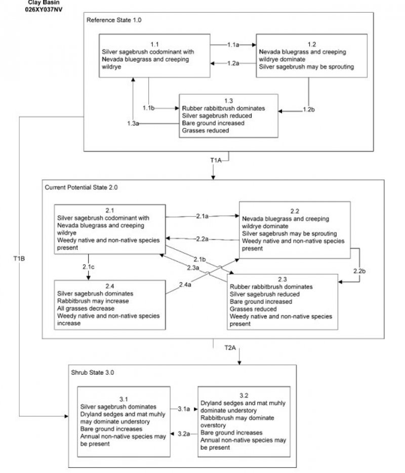 Model diagram