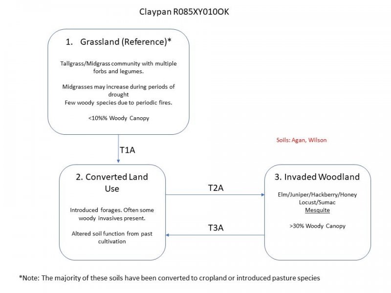 Model diagram