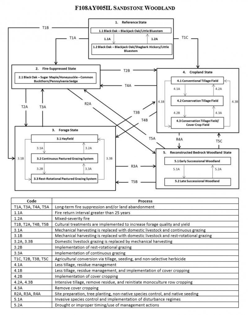 Model diagram