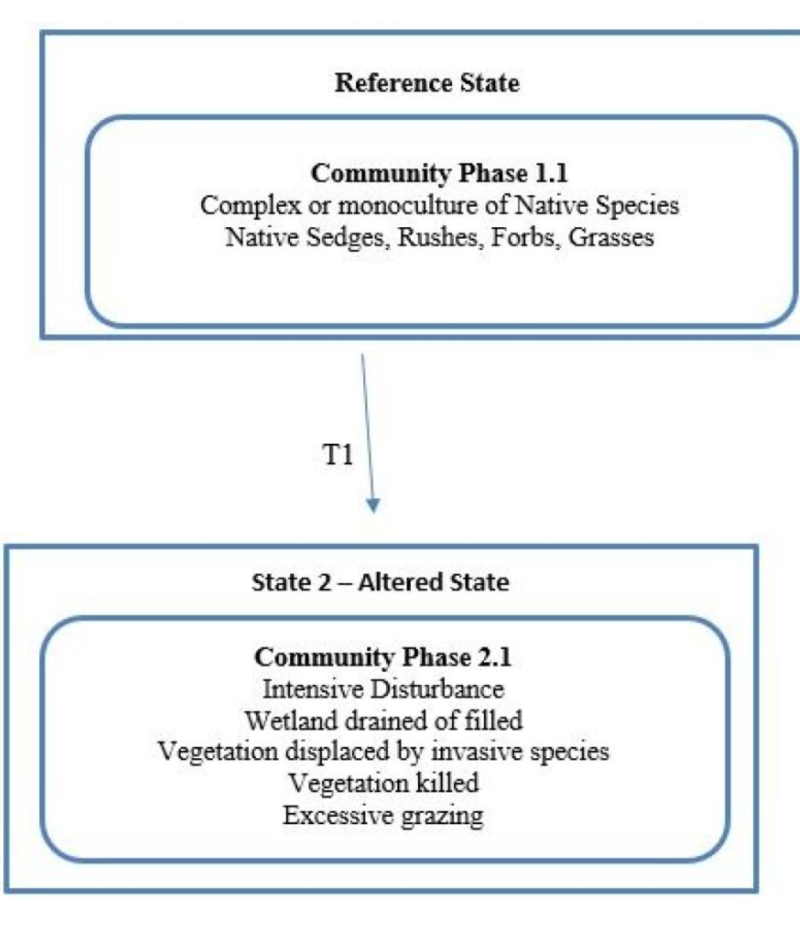 Model diagram