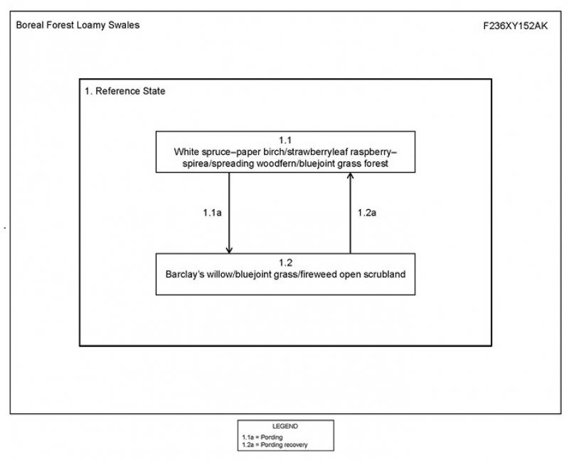 Model diagram