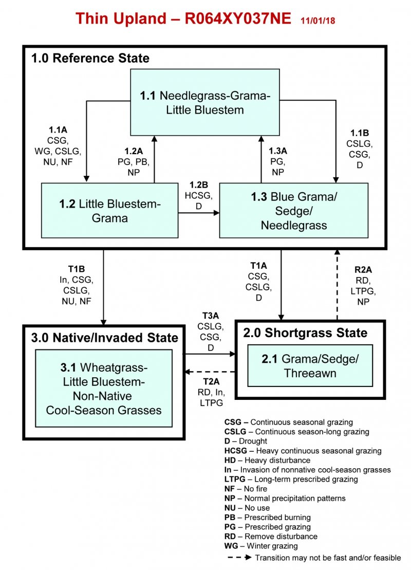 Model diagram
