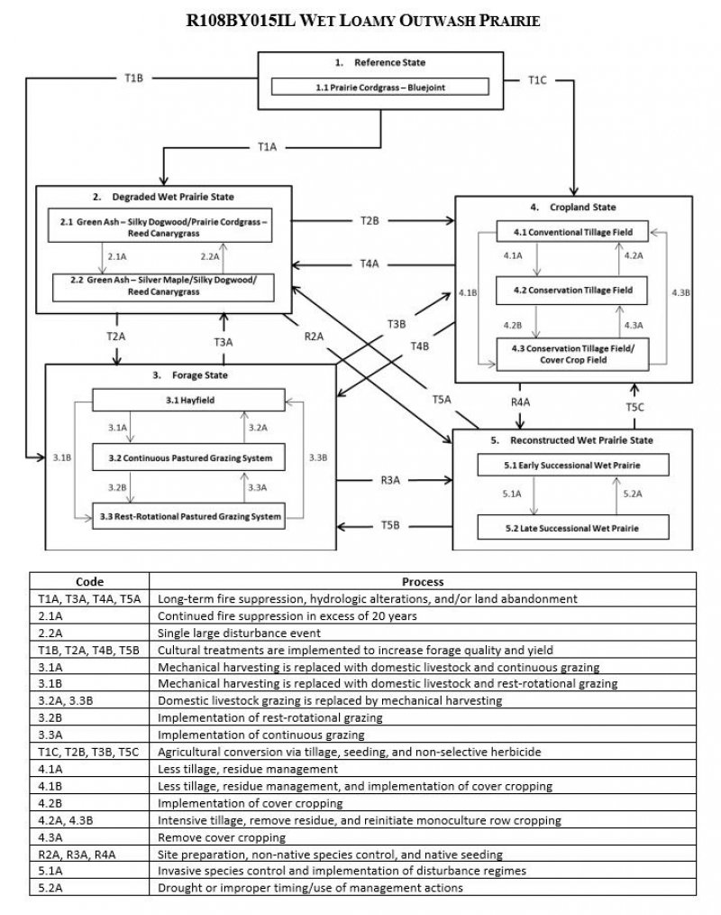 Model diagram