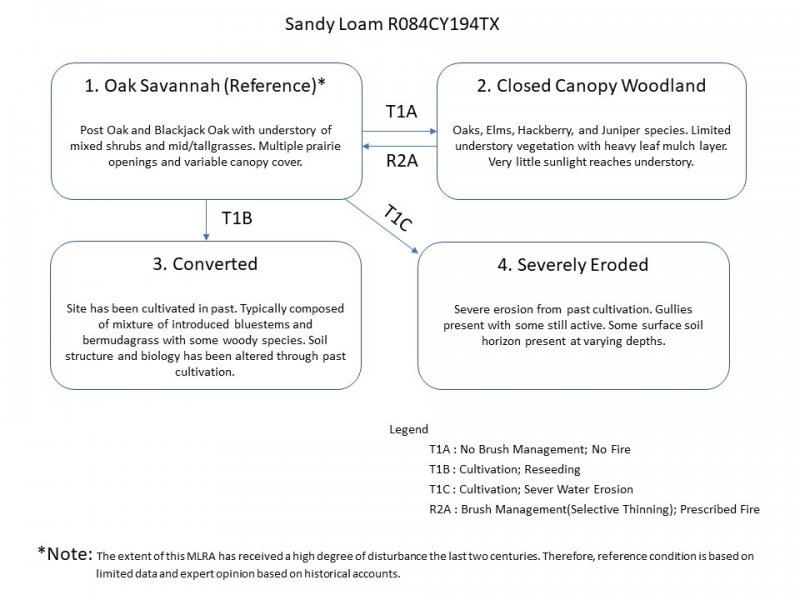 Model diagram