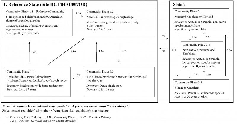 Model diagram