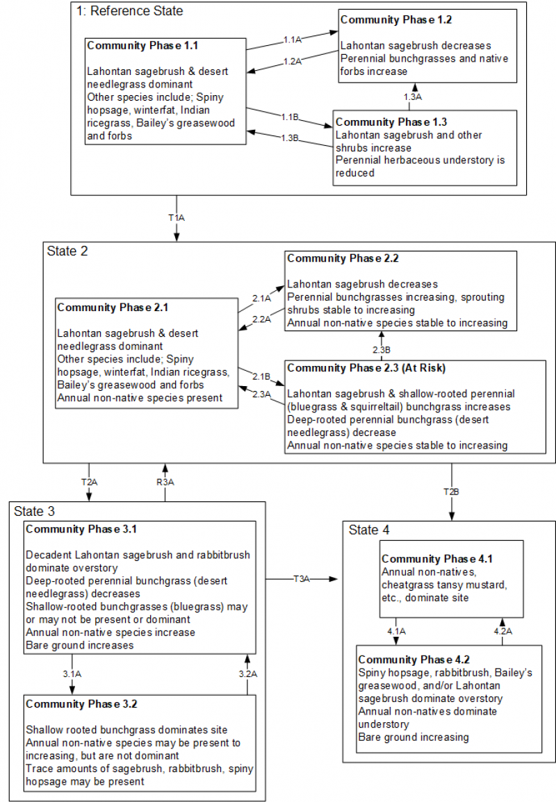 Model diagram