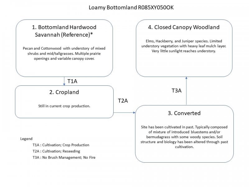 Model diagram
