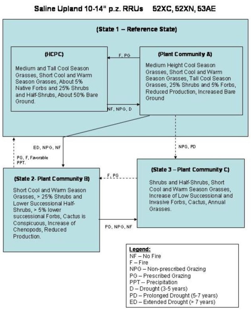 Model diagram