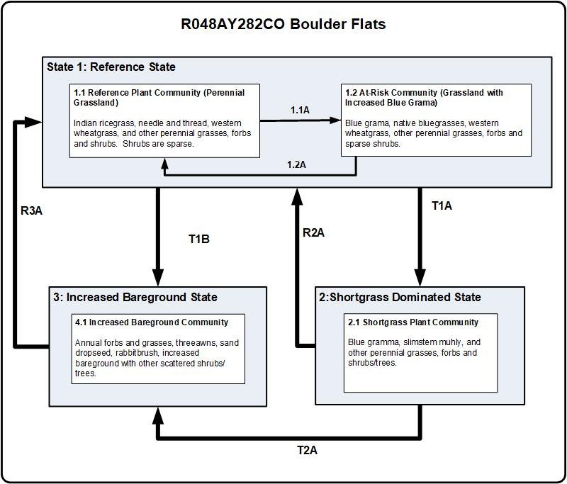 Model diagram
