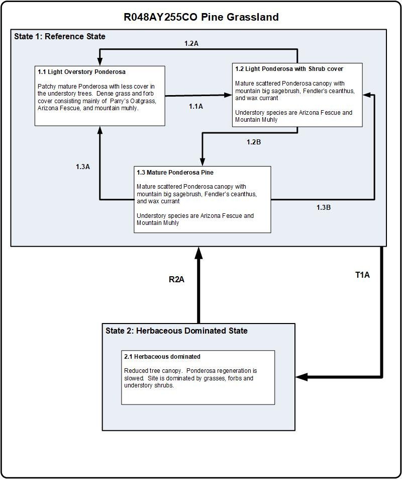 Model diagram