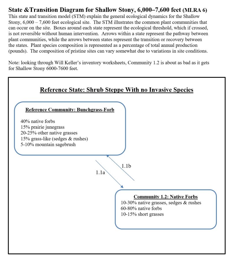 STM R006XY115WA