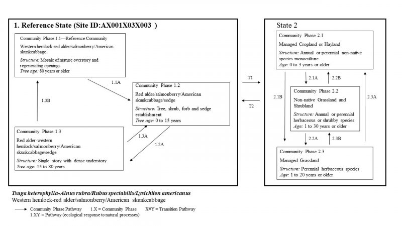 Model diagram