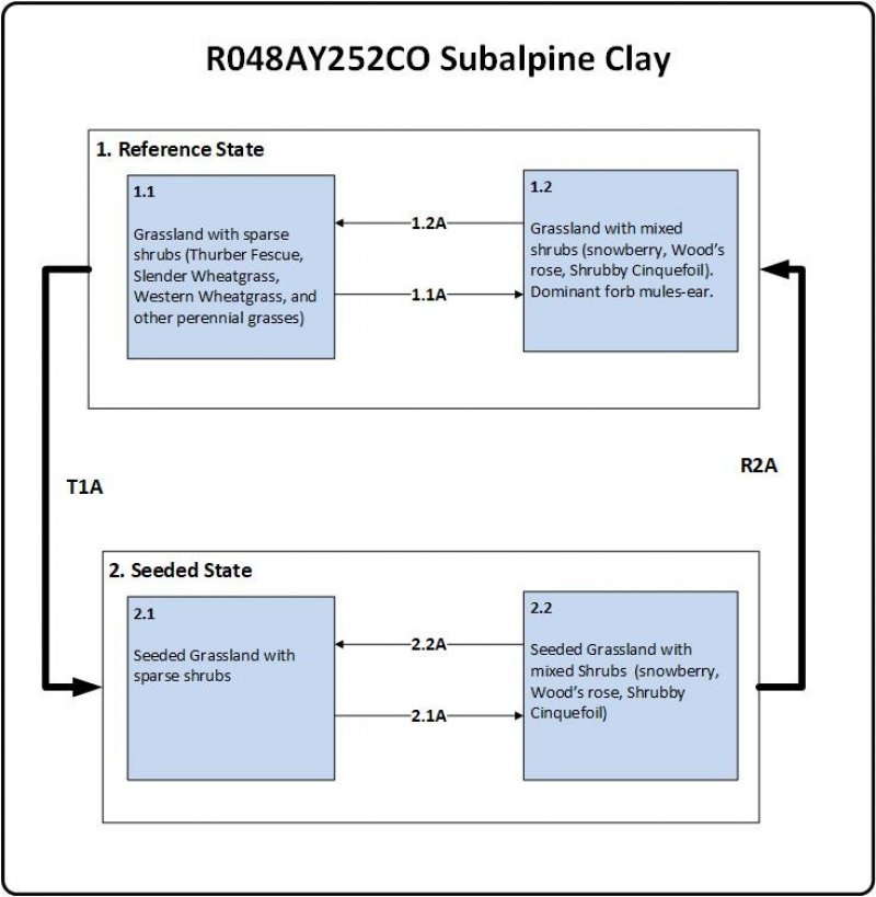 Model diagram