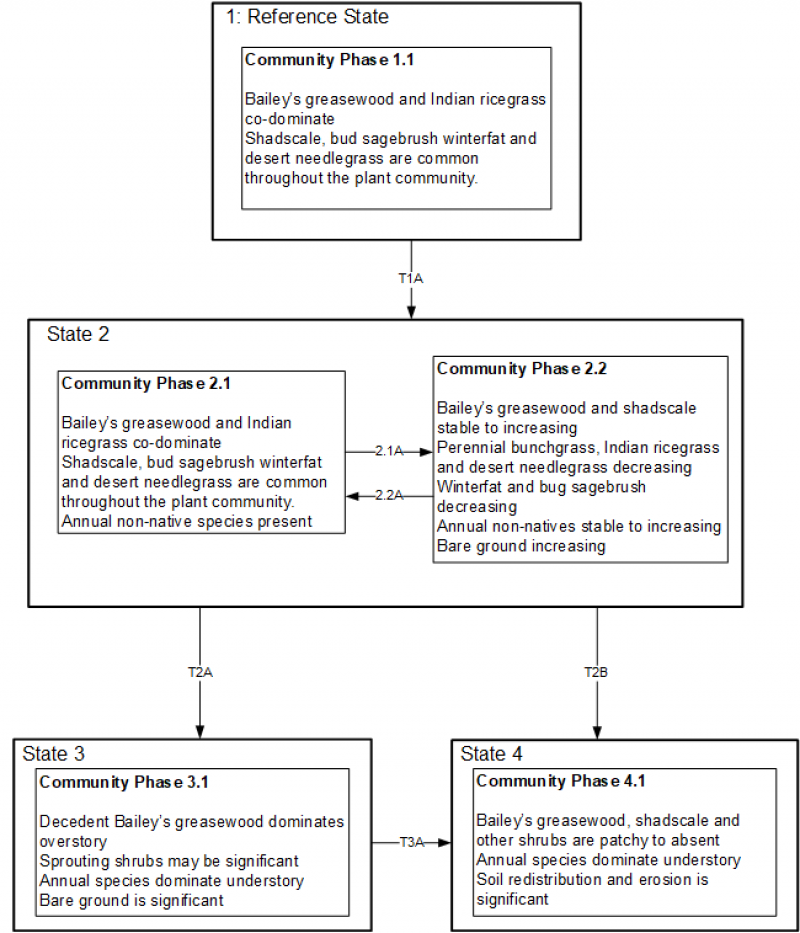 Model diagram