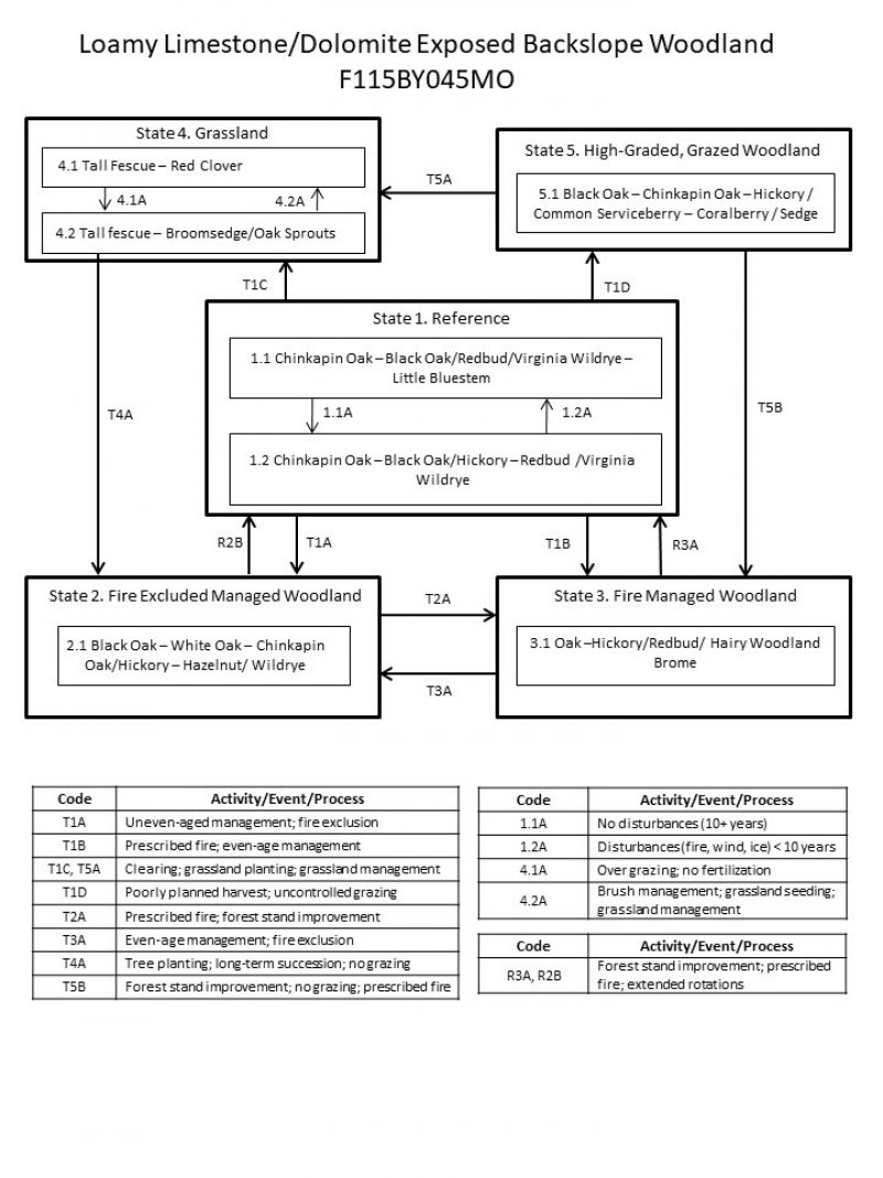 Model diagram