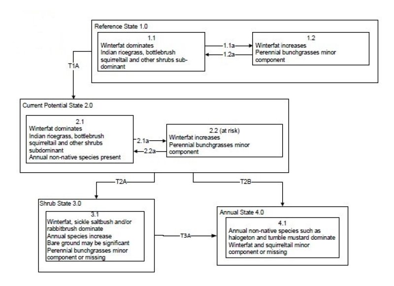 Model diagram
