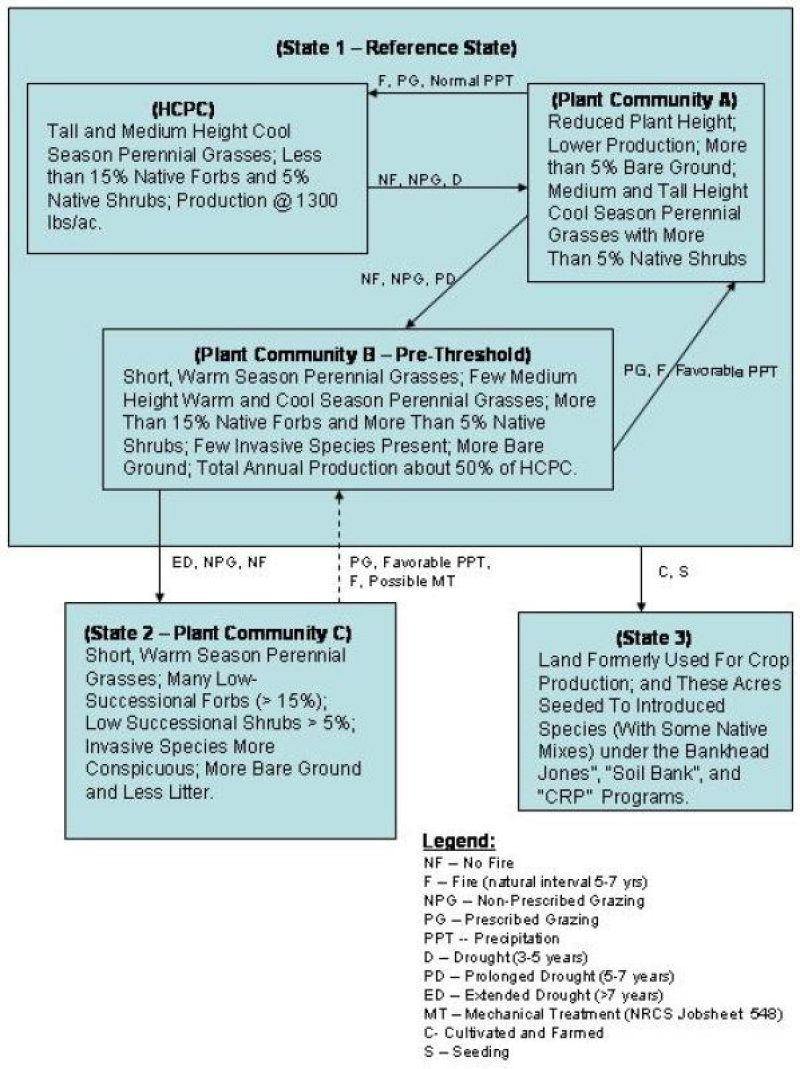Model diagram