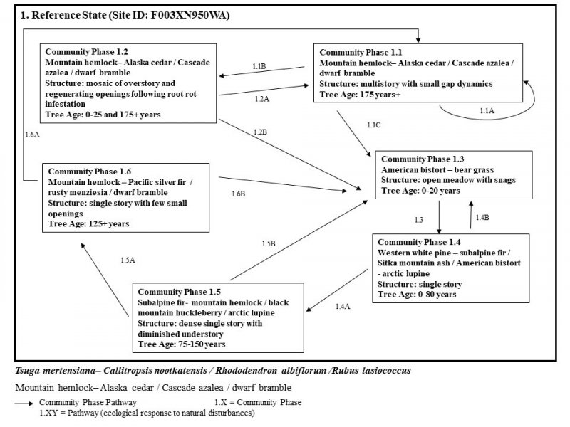 Model diagram