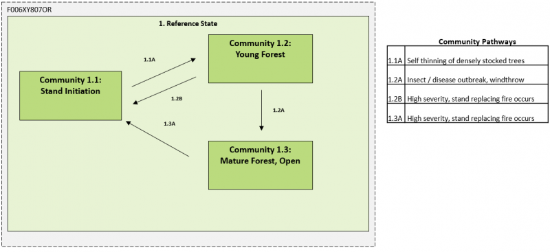 Model diagram