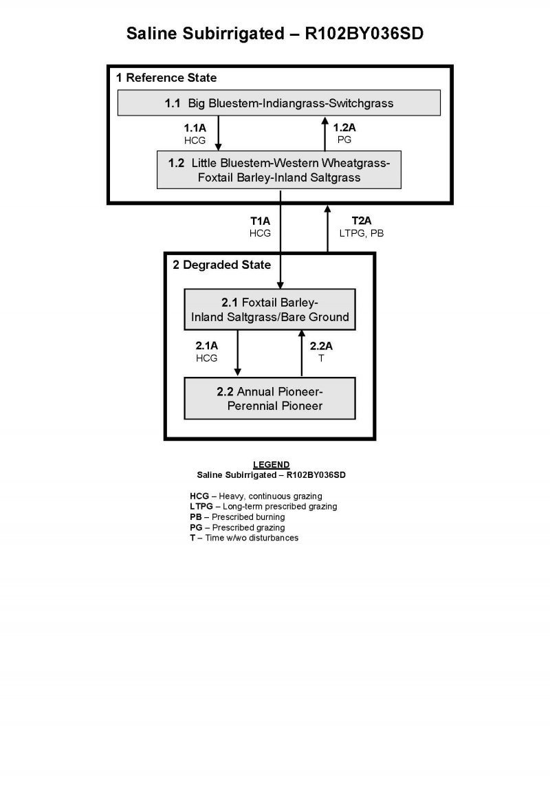 Model diagram