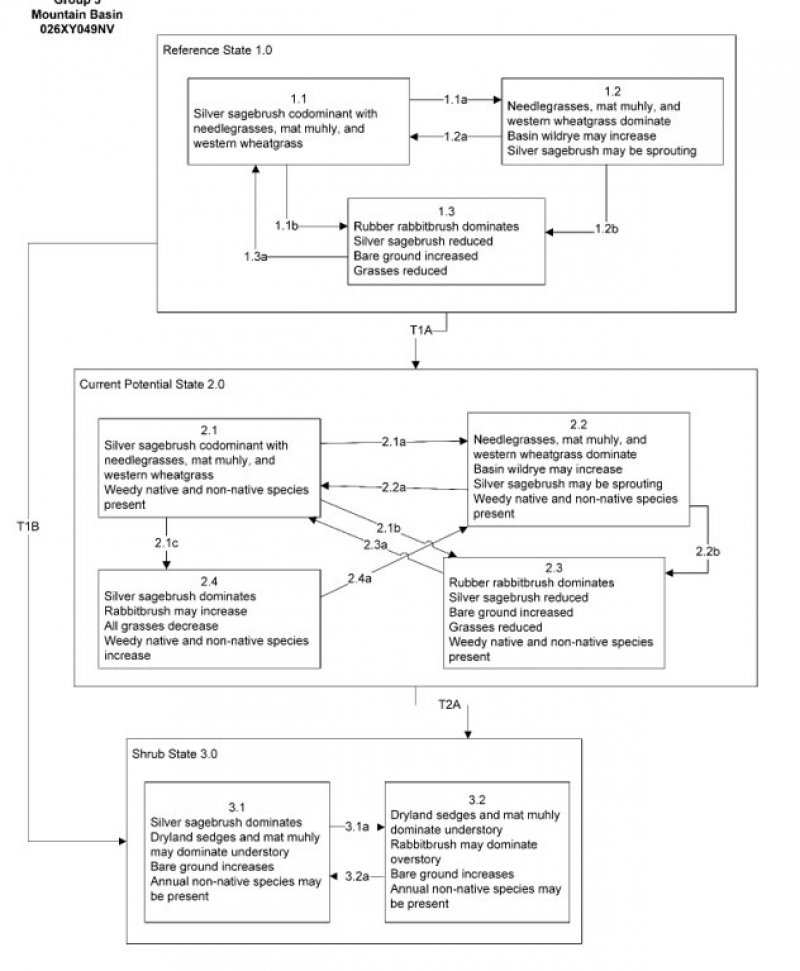Model diagram