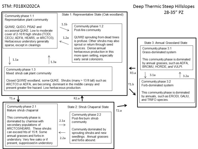 Model diagram