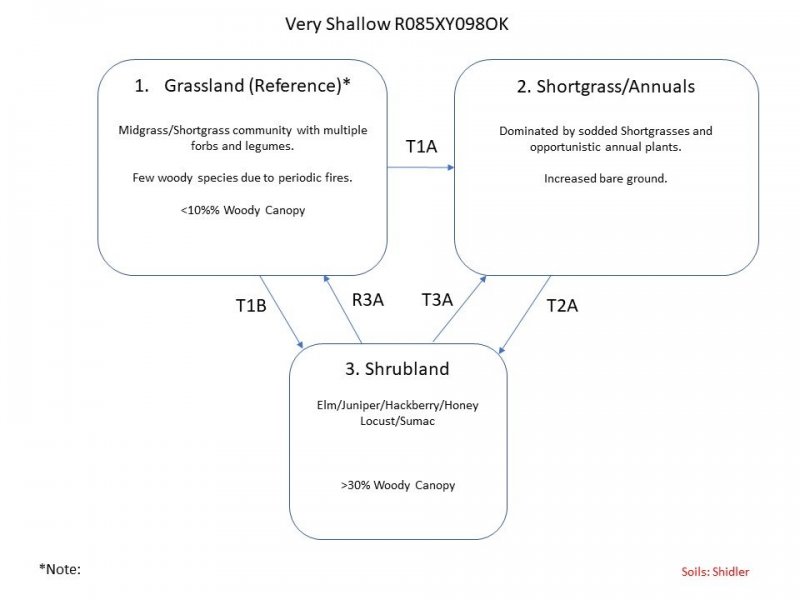 Model diagram