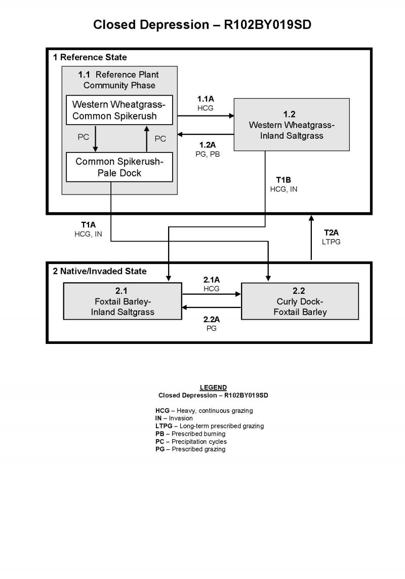 Model diagram