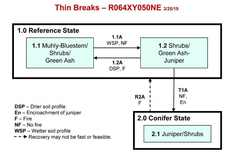Model diagram