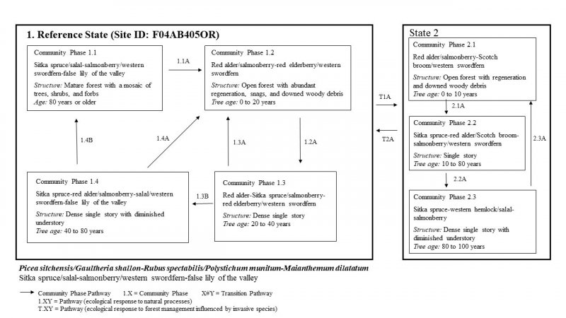Model diagram