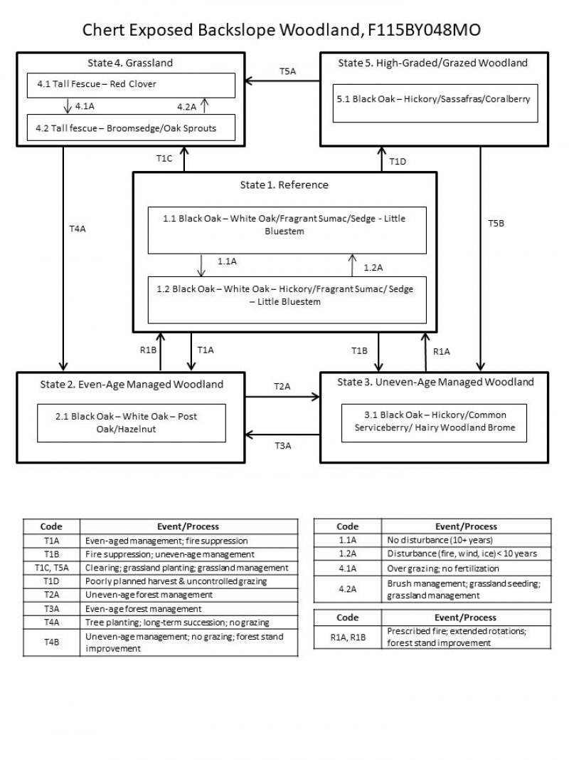 Model diagram