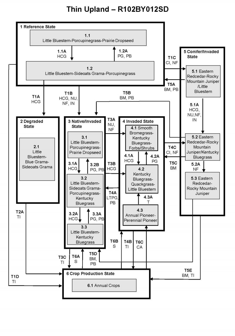 Model diagram