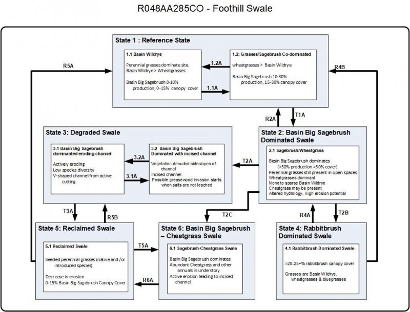 Model diagram