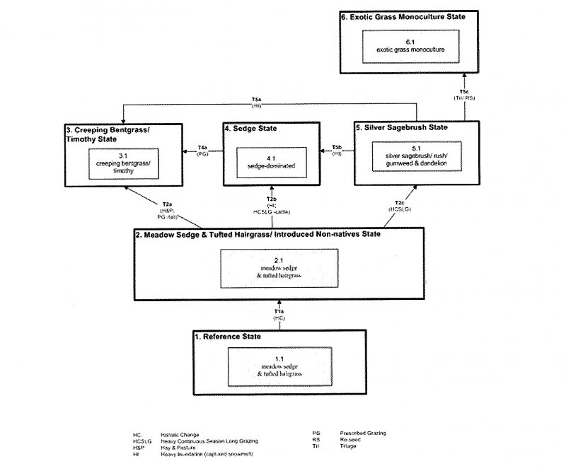 Model diagram